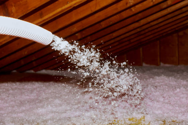 Best Spray Foam Insulation  in Red Oaks Mill, NY