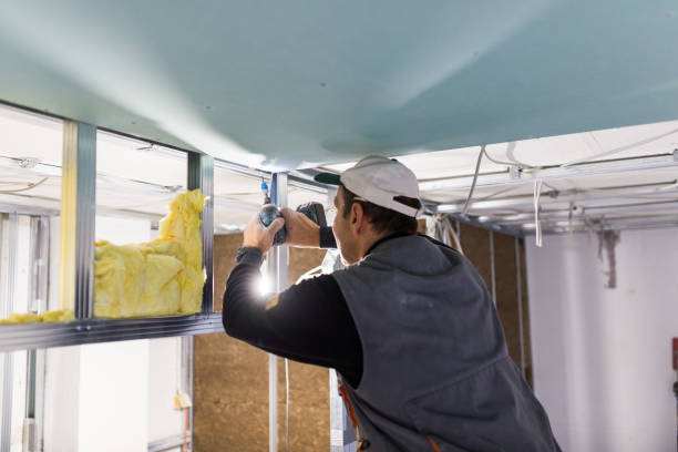 Best Attic Insulation Installation  in Red Oaks Mill, NY